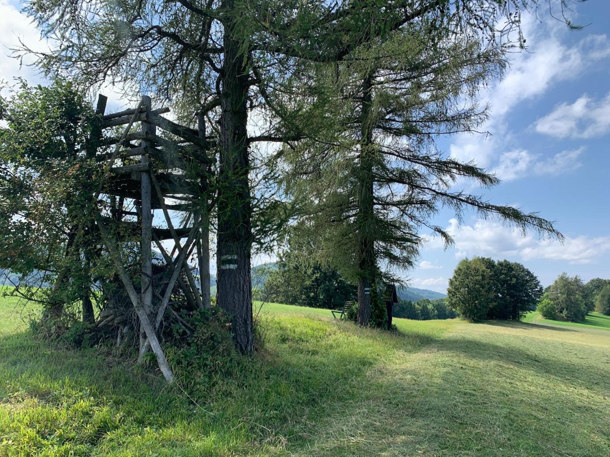 Landgasthof Zur Linde Laaben Kültér fotó